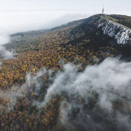 Marináda Viniční dům Pavlov Exterior foto