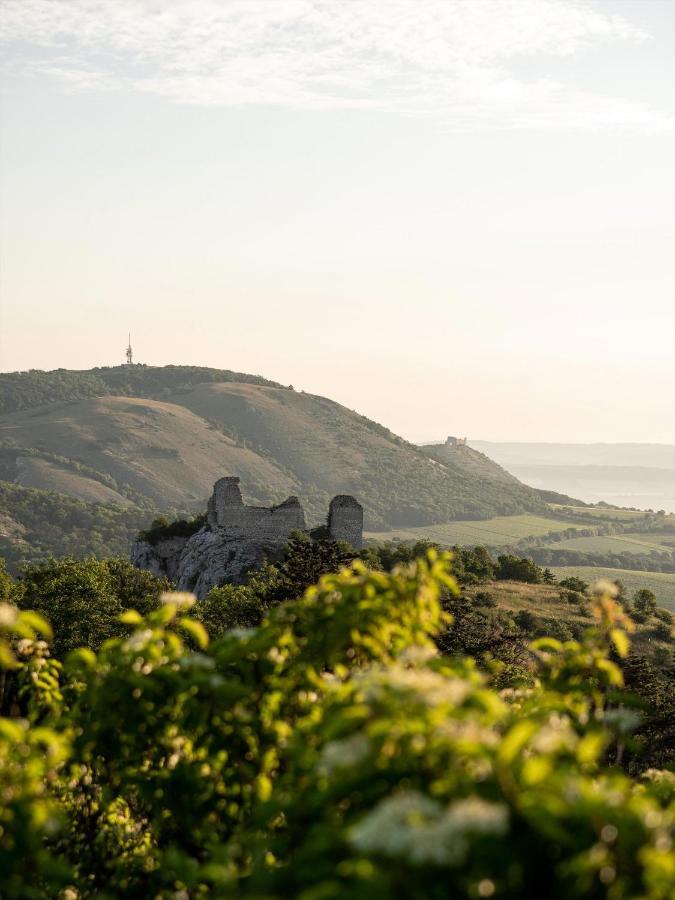 Marináda Viniční dům Pavlov Exterior foto