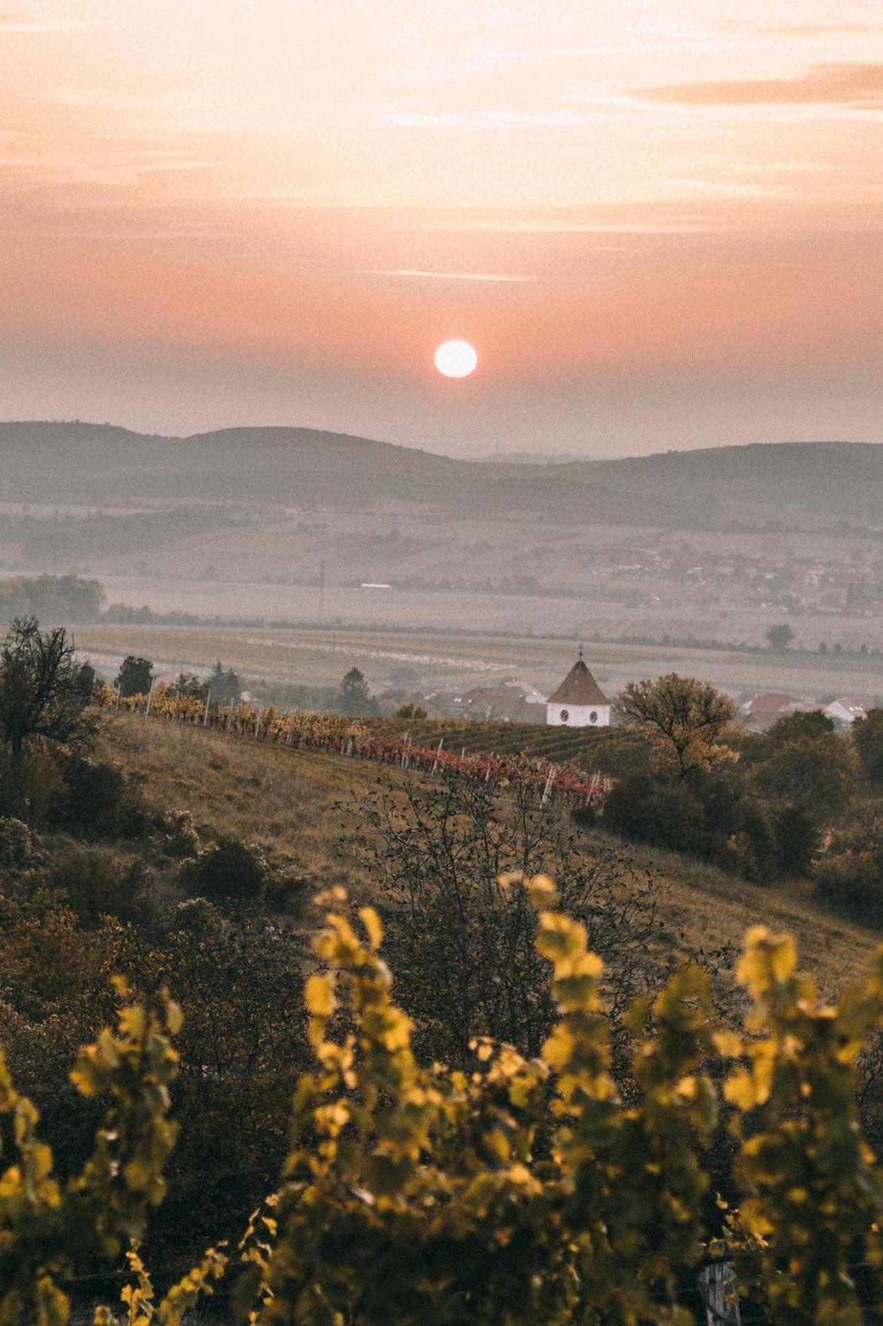 Marináda Viniční dům Pavlov Exterior foto