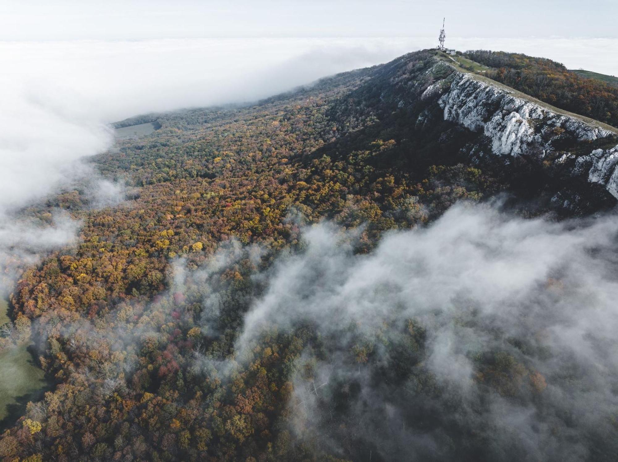 Marináda Viniční dům Pavlov Exterior foto