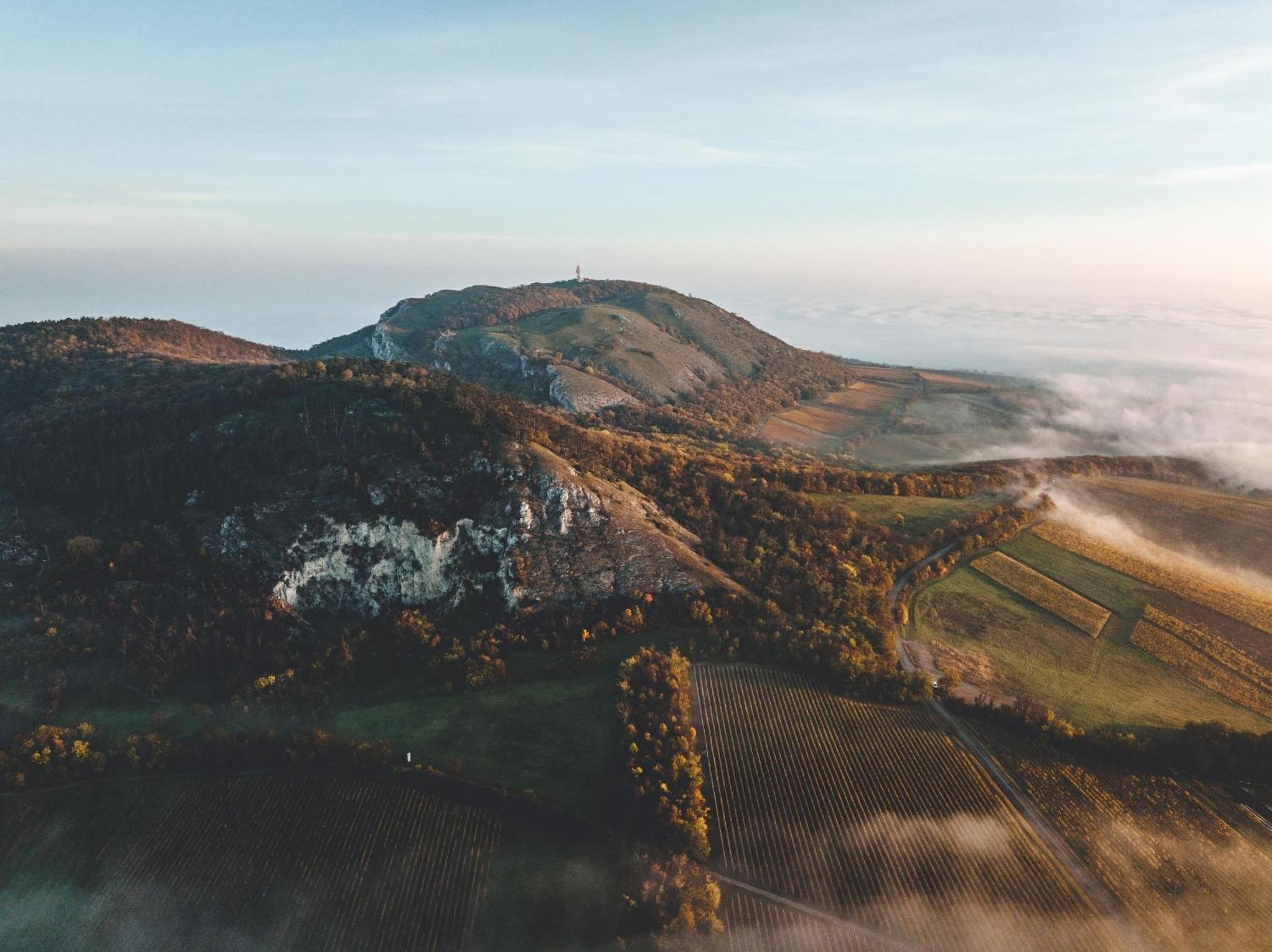 Marináda Viniční dům Pavlov Exterior foto